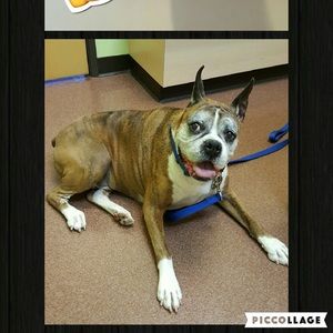 Meet your Posher, Casey